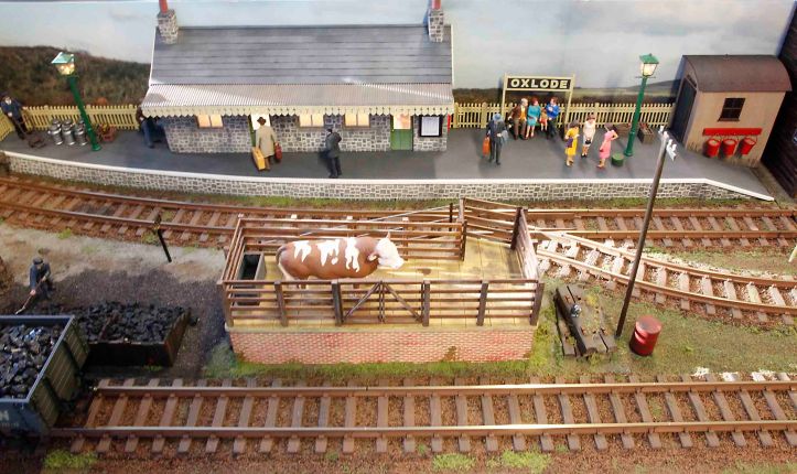 Grassland and Wetland Railway by Glyn Bennett 1