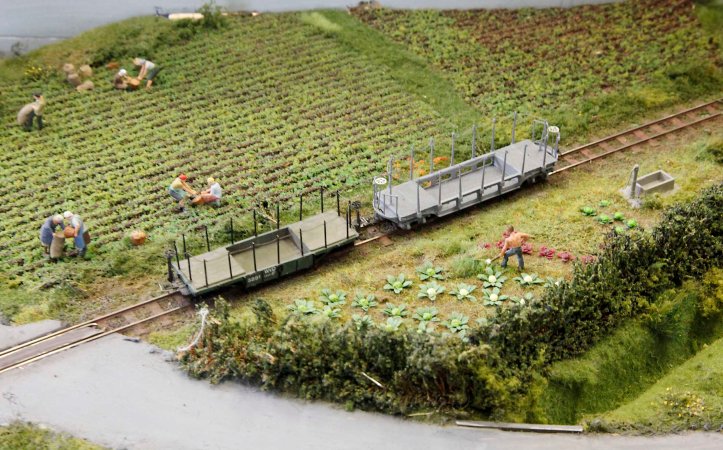 Holbeach Estates Railway